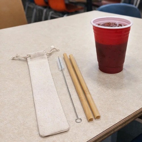 Conjunto Canudos e Escova de Limpeza EcoSystem