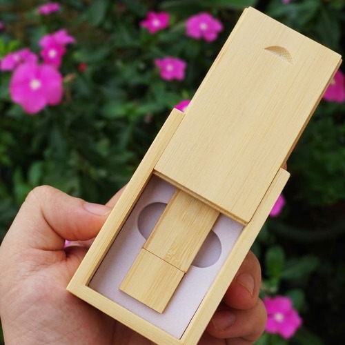 Kit Pen Drive Ecológico de Bambu 4GB